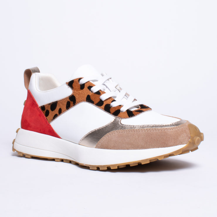 Gelato Flower Tan Leopard Multi Sneaker front. Size 43 womens shoes