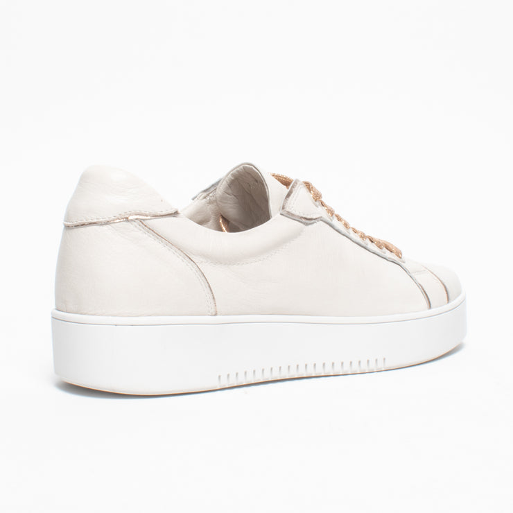 DJ Lofta Ivory Champagne Sneaker back. Size 44 womens shoes