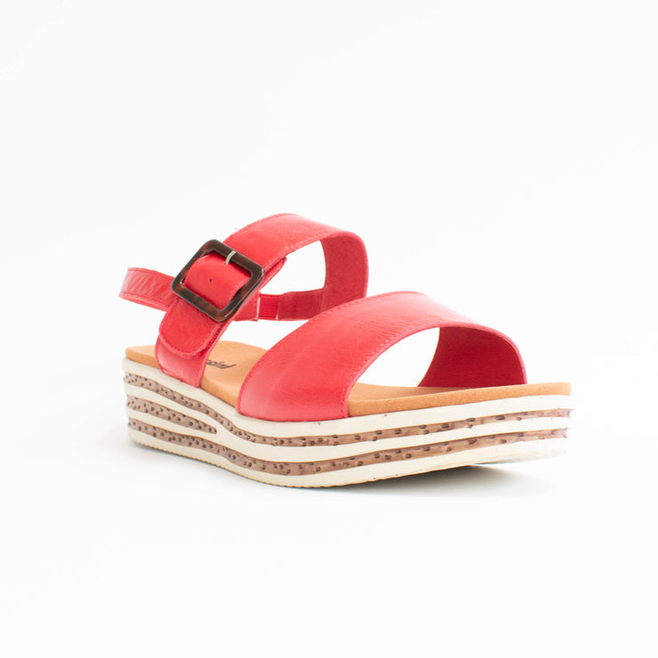 Cassni Medford Fire Sandals front. Size 43 womens shoes