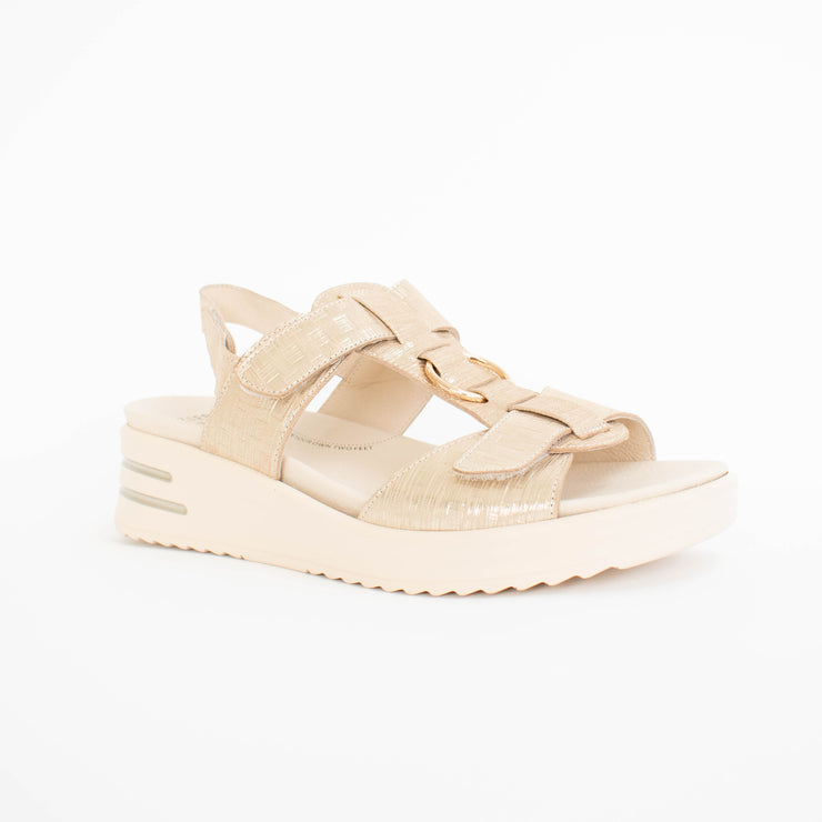 Ziera Sasson Gold Sparks Sandal front. Size 43 womens shoes