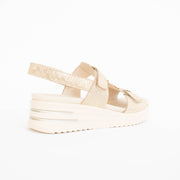 Ziera Sasson Gold Sparks Sandal back. Size 44 womens shoes