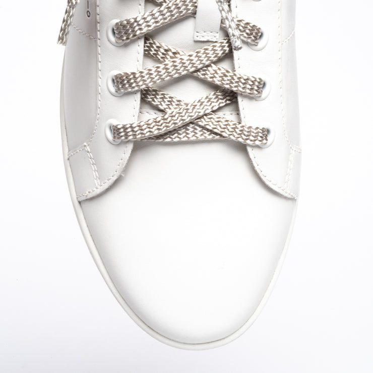 Frankie4 Jackie III White Silver Lizard Print sneakers toe view. Womens size 13 sneakers