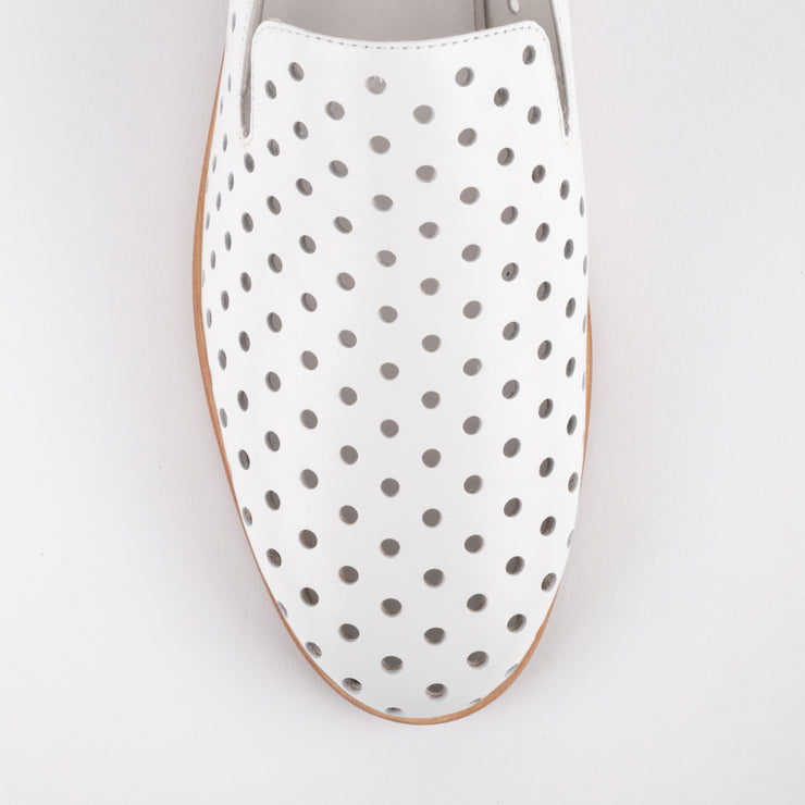Asp White